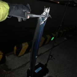 凪の間のドラゴンハント