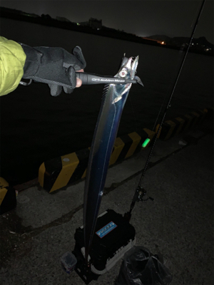 凪の間のドラゴンハント