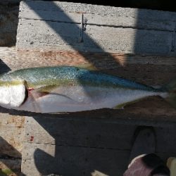 今年の締めにふさわしく！