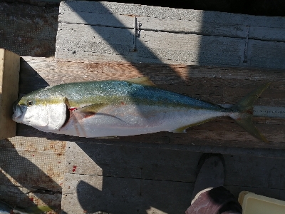 今年の締めにふさわしく！