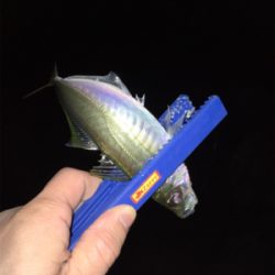 ライトゲーム、アジ・メバル