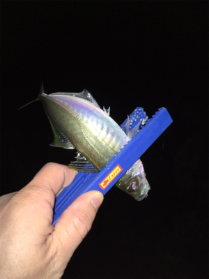 ライトゲーム、アジ・メバル