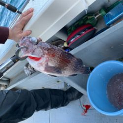 丹後沖ジギング