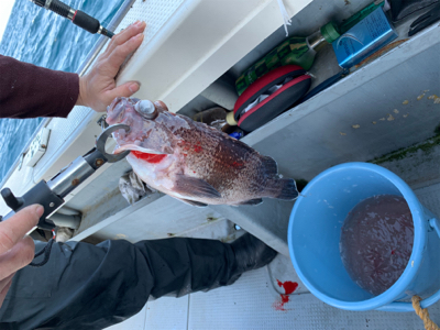 丹後沖ジギング