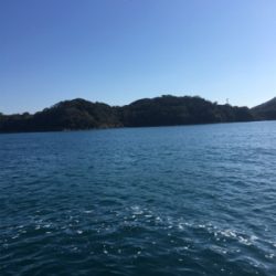 ライトショアジギング