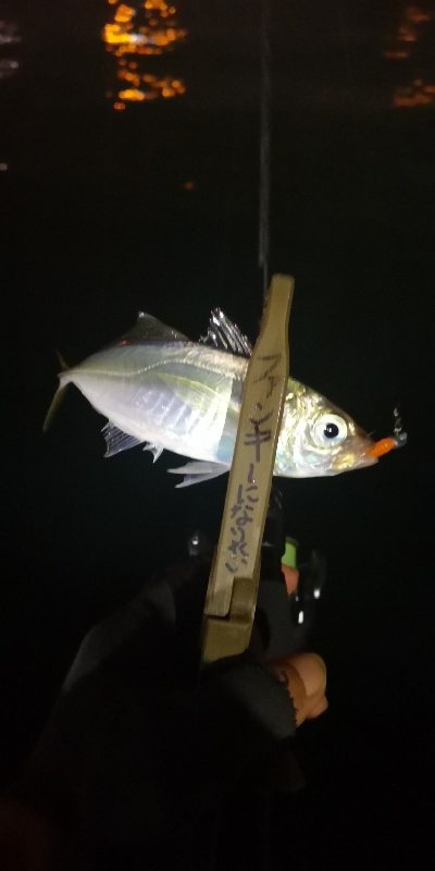 アジング練習 87