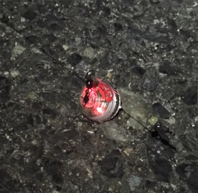 2019年 釣り納め