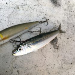 年内最後は不発