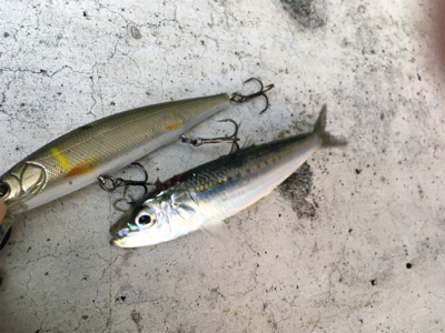 年内最後は不発