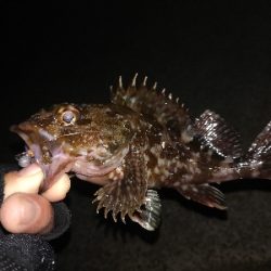 尺タケノコゲット!