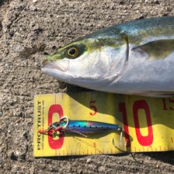 久しぶりの釣り