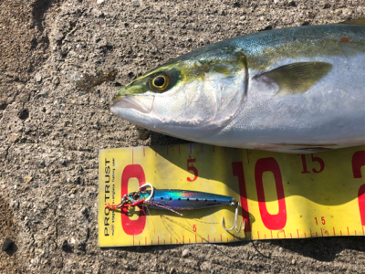 久しぶりの釣り