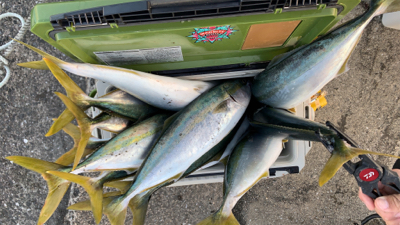 当たり1面湧いた