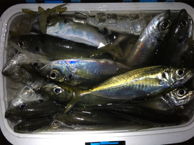 クーラー満タン