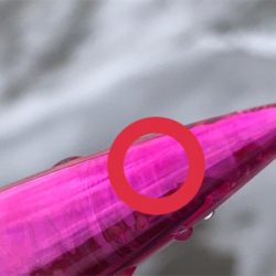 肥えたシーバス