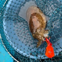 令和最初の年末釣り納め　自己新記録