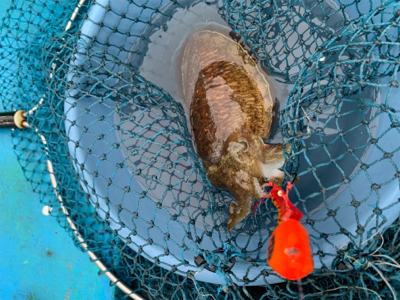 令和最初の年末釣り納め　自己新記録