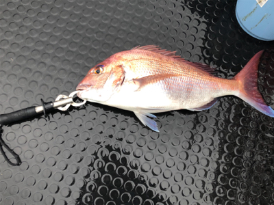 日本海タイラバ