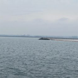 釣納めで初ブリ