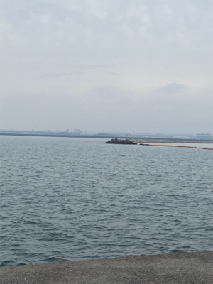 釣納めで初ブリ