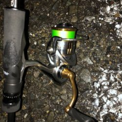 アジ、メバル狙ってたのに