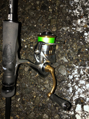 アジ、メバル狙ってたのに