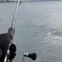 年末最後に青物で締め