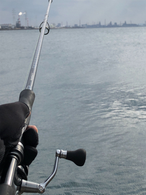 年末最後に青物で締め