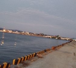 12/1釣果チヌまぁまぁ良いサイズ