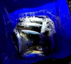 フロートアジング