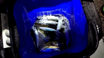 フロートアジング