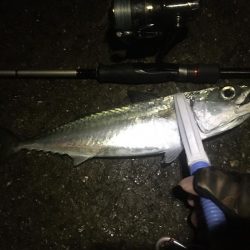 年末調整２日目！