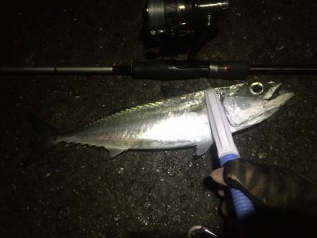 年末調整２日目！