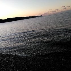 まだまだ小さいようです!!