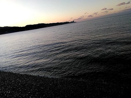 まだまだ小さいようです!!