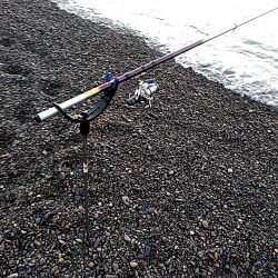 アタリはあるのですか・・・・・　