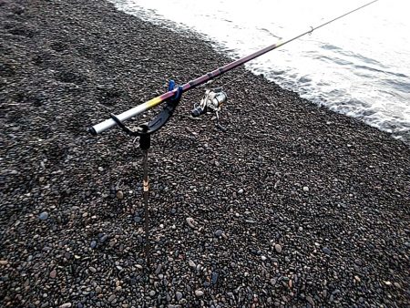 アタリはあるのですか・・・・・　