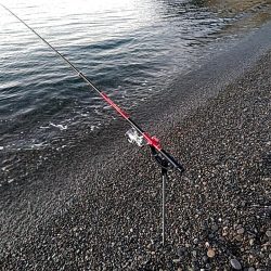 今日は、当たりが多かったです！！