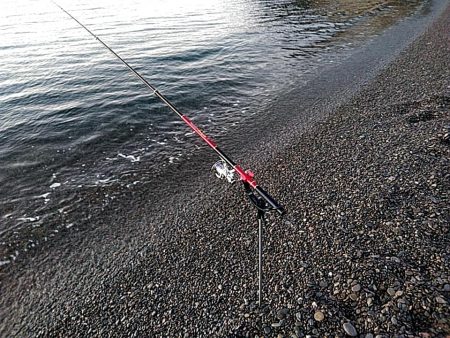 今日は、当たりが多かったです！！