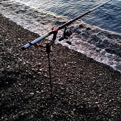 小型ですが、何とか一杯確保でした!!