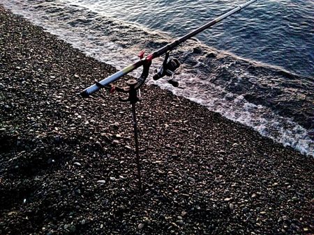 小型ですが、何とか一杯確保でした!!