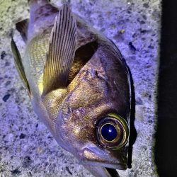 風に邪魔された