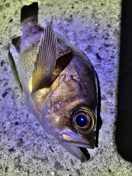 風に邪魔された