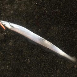 ドラゴン記録更新