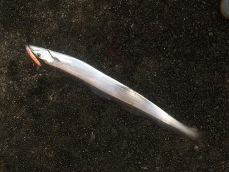 ドラゴン記録更新