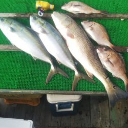 のんびり海上釣り堀❗️