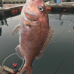 冬はやっぱり釣り堀⁉︎