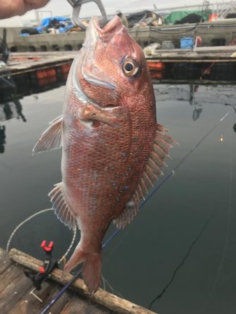 冬はやっぱり釣り堀⁉︎
