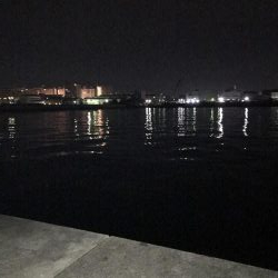 12月20日大サバ狙い