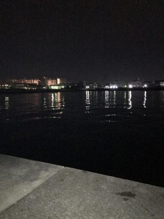 12月20日大サバ狙い